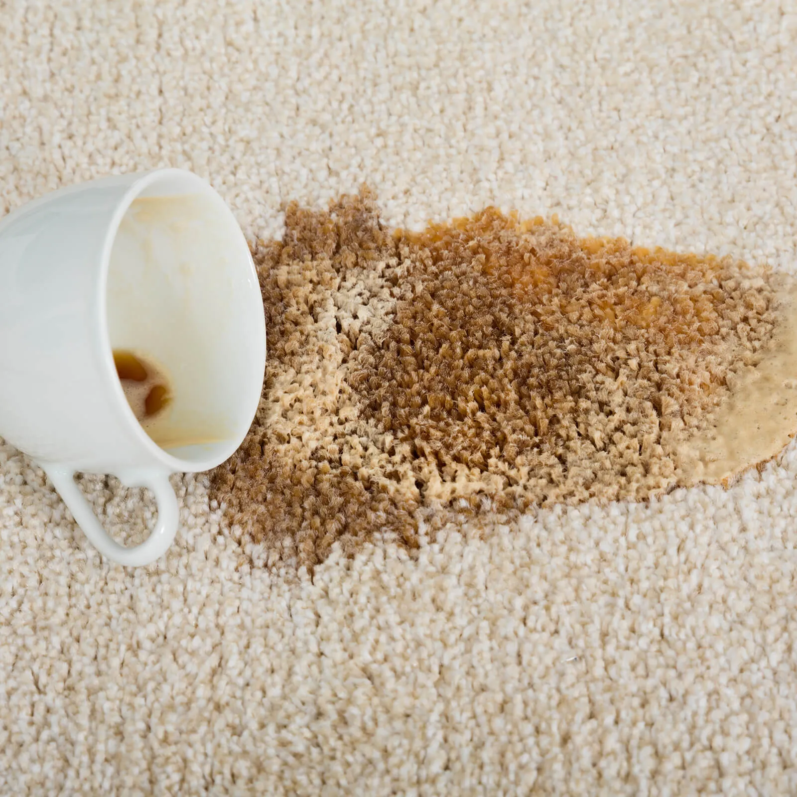 Carpet Coffee Stain | Jabara's
